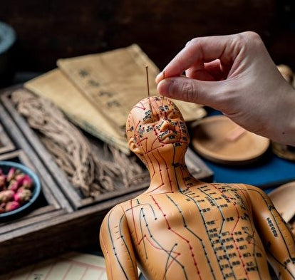 Chinese medical master, Chinese medicine treatment teaching course, Chinese treatment